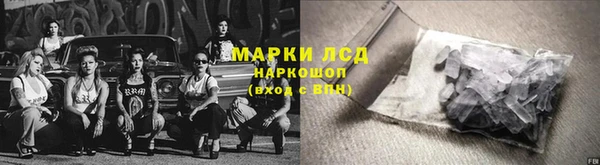 хмурый Алзамай