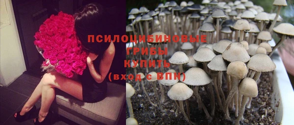 хмурый Алзамай